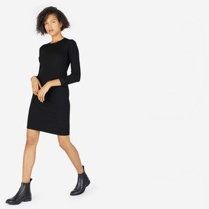 Everlane Luxe Wool Ribbed Dress
